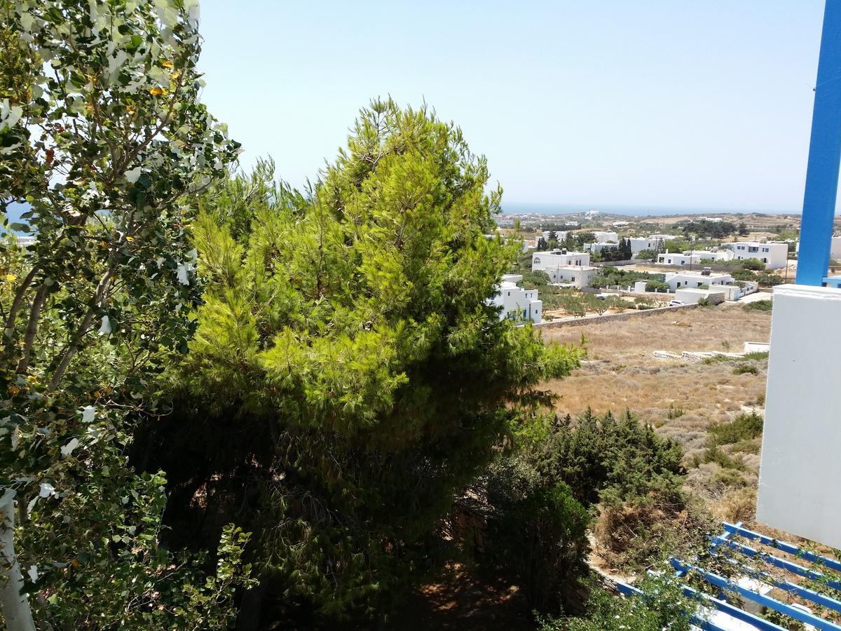 Studios Panorama Drios Exterior photo